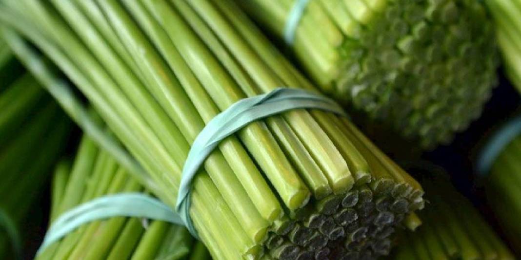 Asırlar önce İbn-i Sina öneriyordu, tüm dünyaya yayıldı! Vücudu resetliyor, kalbi iyileştiriyor: Türkiye’de kıymeti bilinmiyor 7